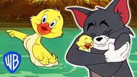 Tom & Jerry | Best of Little Quacker |